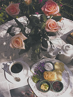 Ushaka+marine+accommodation